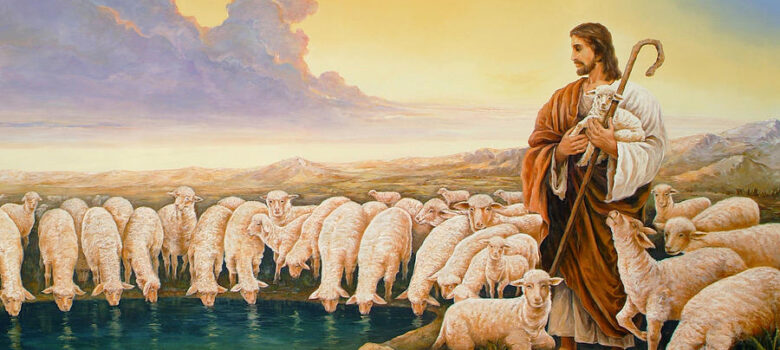 Bryan Ahn, Dobri Pastir